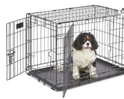 <strong>Midwest Crate </strong>
<br/>Small for puppies 24.8"L x 17.9"W x 19.5"H